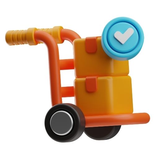 Module Image